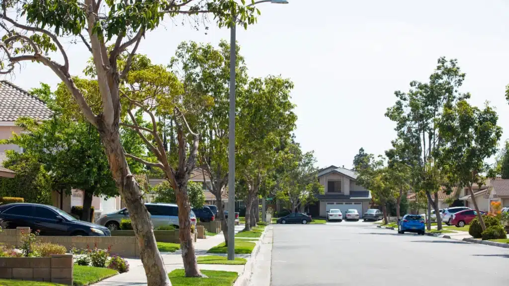 Quiet suburban street lined with trees and residential homes.