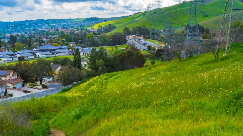 A hillside featuring several houses and a winding road, showcasing a scenic residential area.