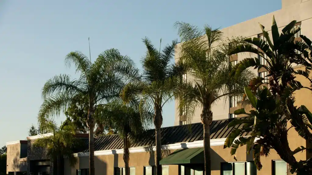 Injured in La Mirada? An injury lawyer handles the legal process so you can focus on recovery.