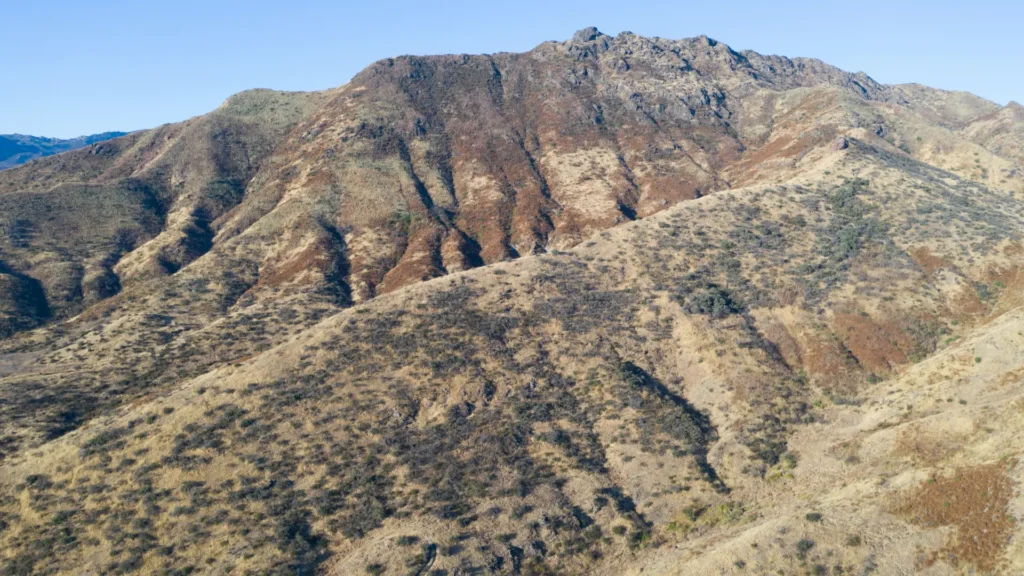 Legal guidance for those injured on Agoura Hills roads.