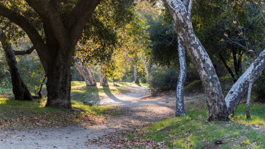 Road safety and personal injury in La Cañada Flintridge