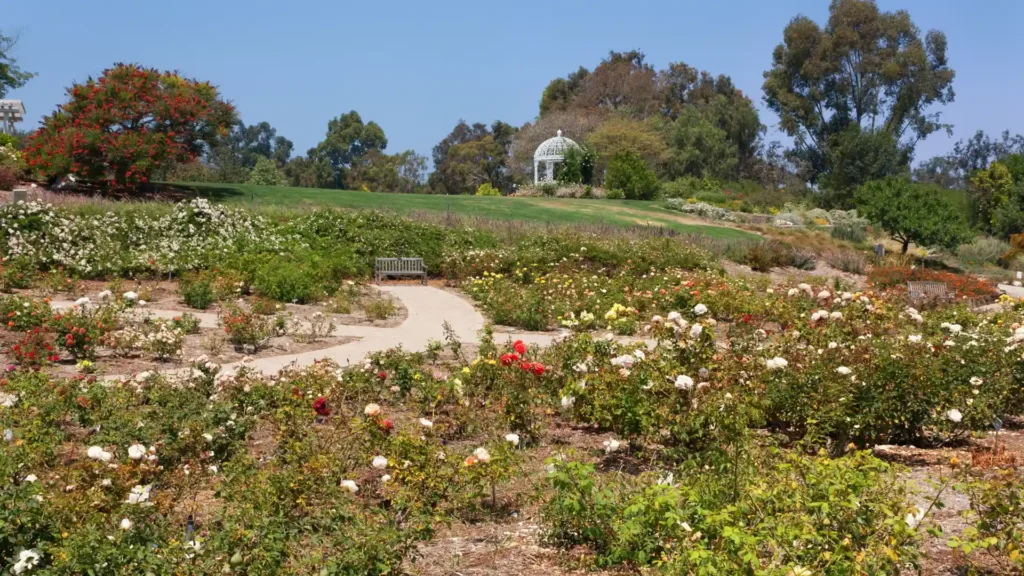 Legal help for injuries in Lomita